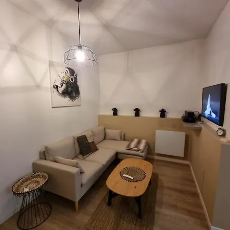 شقة Charmant T2 Climatise, Grande Terrasse, Parking فييُناف دورنو
